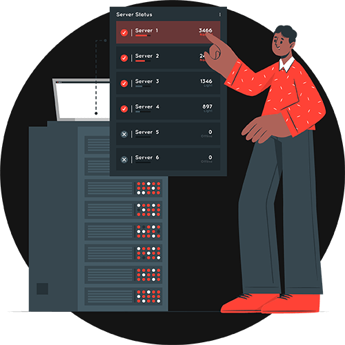 Raccoon Lab Black Friday