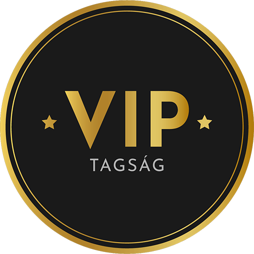 Raccoon Lab Black Friday