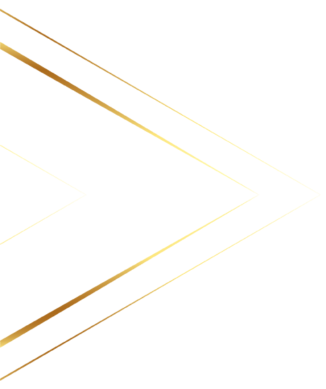 Raccoon Lab Black Friday