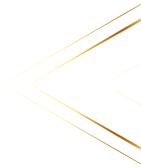 Raccoon Lab Black Friday